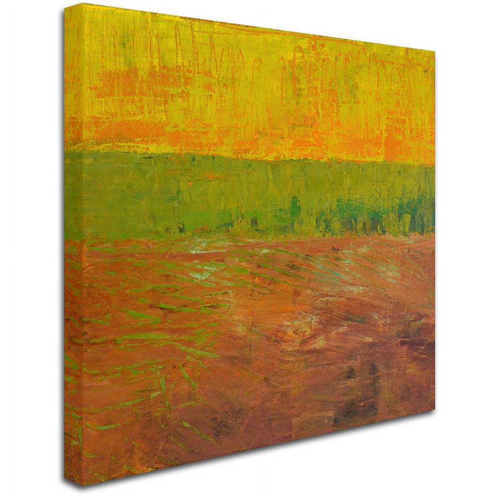 Trademark Fine Art "Highway Series Soil" Canvas Art by Michelle Calkins