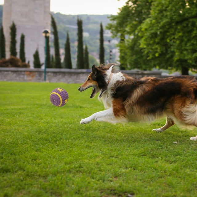 Xihbxyly Juguete Interactivo para Perros, Pelota Led Atractiva, Diseño Recargable para Diversión Sin Fin, Modo de Suspensión Inteligente para Juego Activo, Uso En Interiores y Exteriores, Solución de