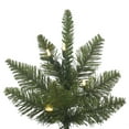 thumbnail image 2 of Vickerman Pre-Lit 6.5' Durango Spruce Artificial Christmas Tree, LED, Warm White Lights, 2 of 3