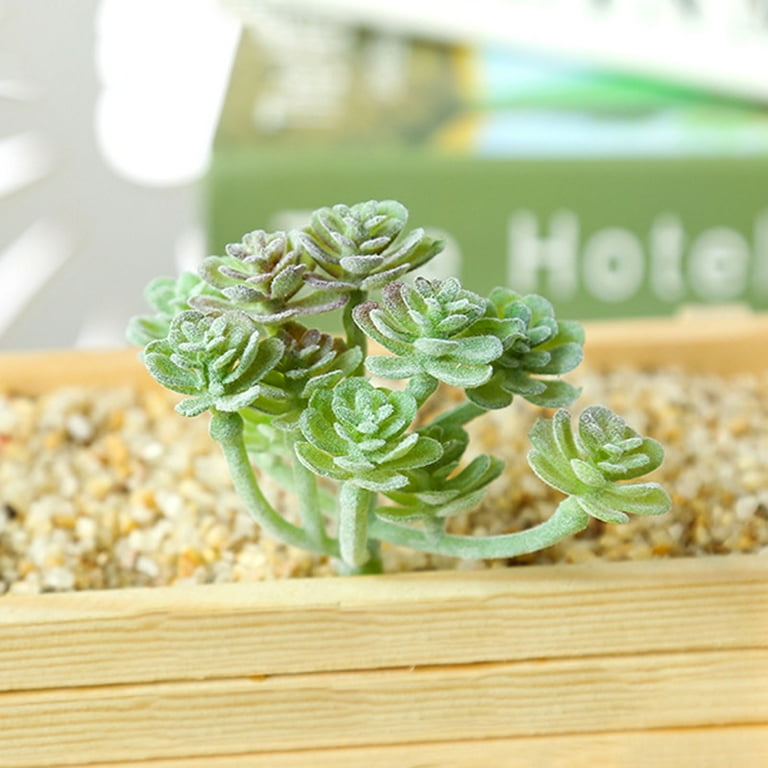 Visland Artificial Succulents, 5PCS Fake Succulents, Realistic Faux Mini  Succulent Plants for Terrarium Greenery Outdoor and Indoor Arrangements,  Faux ...