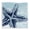 Coastal Starfish Modern, variant on Stupell Industries Conch Shell on Beige Nautical & Beach Painting Wrapped Canvas Art Print Wall Art, 17 x 17