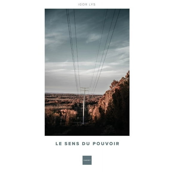Le Sens du Pouvoir: Essai (Paperback)