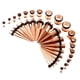 thumbnail image 5 of 36 Unidades De Estiramiento De Tapones Cónicos de material acero Inoxidable Accesorio Para Oído - oro and rosa, 14g-00g Yinane Kit de estiramiento de medidores para oídos, 5 of 7