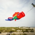 thumbnail image 2 of In the Breeze 5208 — 30-inch Rainbow Damsel Fish Windsock —Large and Colorful Fishsock with Applique Design, 2 of 5