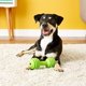 thumbnail image 3 of Juguete para Perro JW Pet Company Dorado y Amarillo Lightweight, 3 of 5