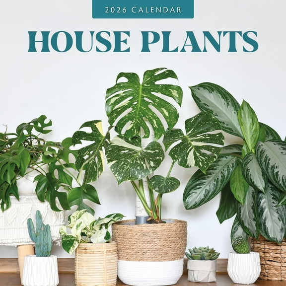 Red Robin 2026 House Plants Monthly Wall Calendar | 12" x 24" Open | Premium Thick & Sturdy Paper | Hangable 12 Month Calendar | Lined Notes & To Do Area | Vivid Images | Plastic Free