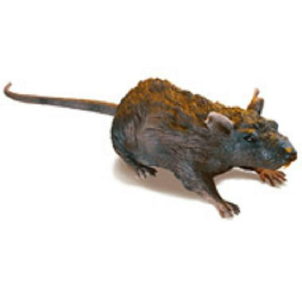 RC Rat Remote Controlled Crawling Rat