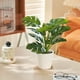 thumbnail image 4 of Macetas para Plantas Simulación Monstera Deliciosa Liebm Maceta Casa Sala de Estar Decoración Maceta Fresca Pequeña Planta Verde Plantas Falsas Decoraciones Del Hogar para la Sala de Estar, 4 of 6
