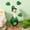 St. Patrick’s Day Desk Goose Outfit, variant on St. Patrick’s Day Desk Goose Outfit with Hat and Clothes, Clover Theme Mini Goose Costume Accessories, Funny Desktop Goose Decor for Home or Office, Designed for 7 Inch Desk Goose Figurines