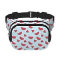 thumbnail image 1 of Balery Watermelon Mochila Cinturón para Mujeres y Hombres, Bolsa de Cintura Impermeable de Doble Capa con Correa, 1 of 9