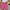 Hot Pink B, variant on OKBOP Bermuda Shorts for Women Blue Wide-Leg Relaxed Fit Casual Ripped Jeans Shorts