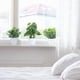 thumbnail image 4 of 1 paquete de pequeñas plantas en maceta falsas, Mini plantas de escritorio artificiales para interior, casa de campo, mesa de oficina, estante, decoración de baño, 4 of 5