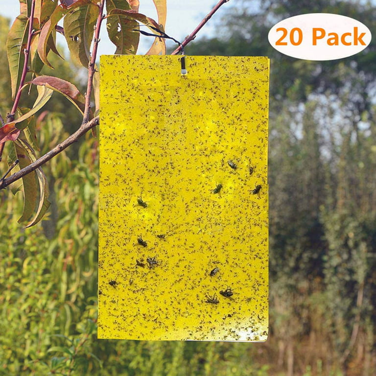 LIGHTSMAX Sticky Fruit Fly and Gnat Trap - Yellow Sticky Bug Traps