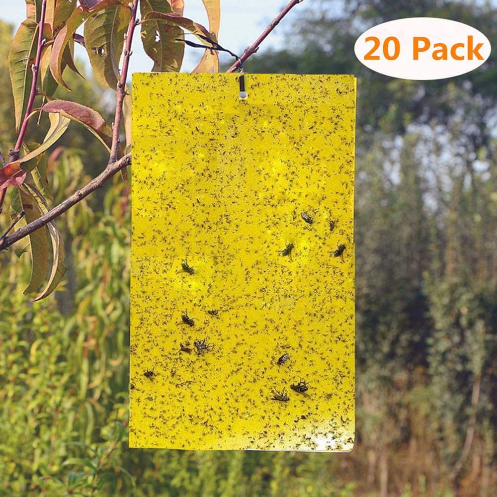 LIGHTSMAX 20Pack DualSided Yellow Sticky Traps Flying