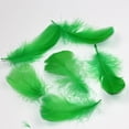 thumbnail image 2 of 100 Pcs Plumes Naturelles Créatives Bricolage Polyvalentes Artisanat Plume Déco Plume, 2 of 6