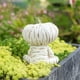 thumbnail image 4 of Decoración De Pesca Con Cabeza De Calabaza, Estatua Para Estanque De Jardín, Decoración De Halloween, Artesanía De Resina, 4 of 5