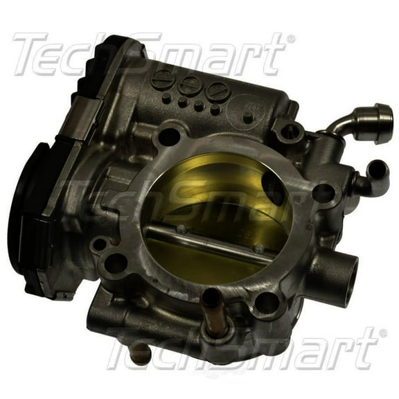Fuel Injection Throttle Body Assembly