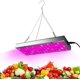 thumbnail image 3 of Bombilla de lámpara de cultivo de panel de espectro completo con luces de cultivo LED UV IR 75/144 (UE 45W) NikouMX Muebles, 3 of 7