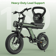 Electric Bike for Adults 48V 750W Motor 26in E-Bicycle