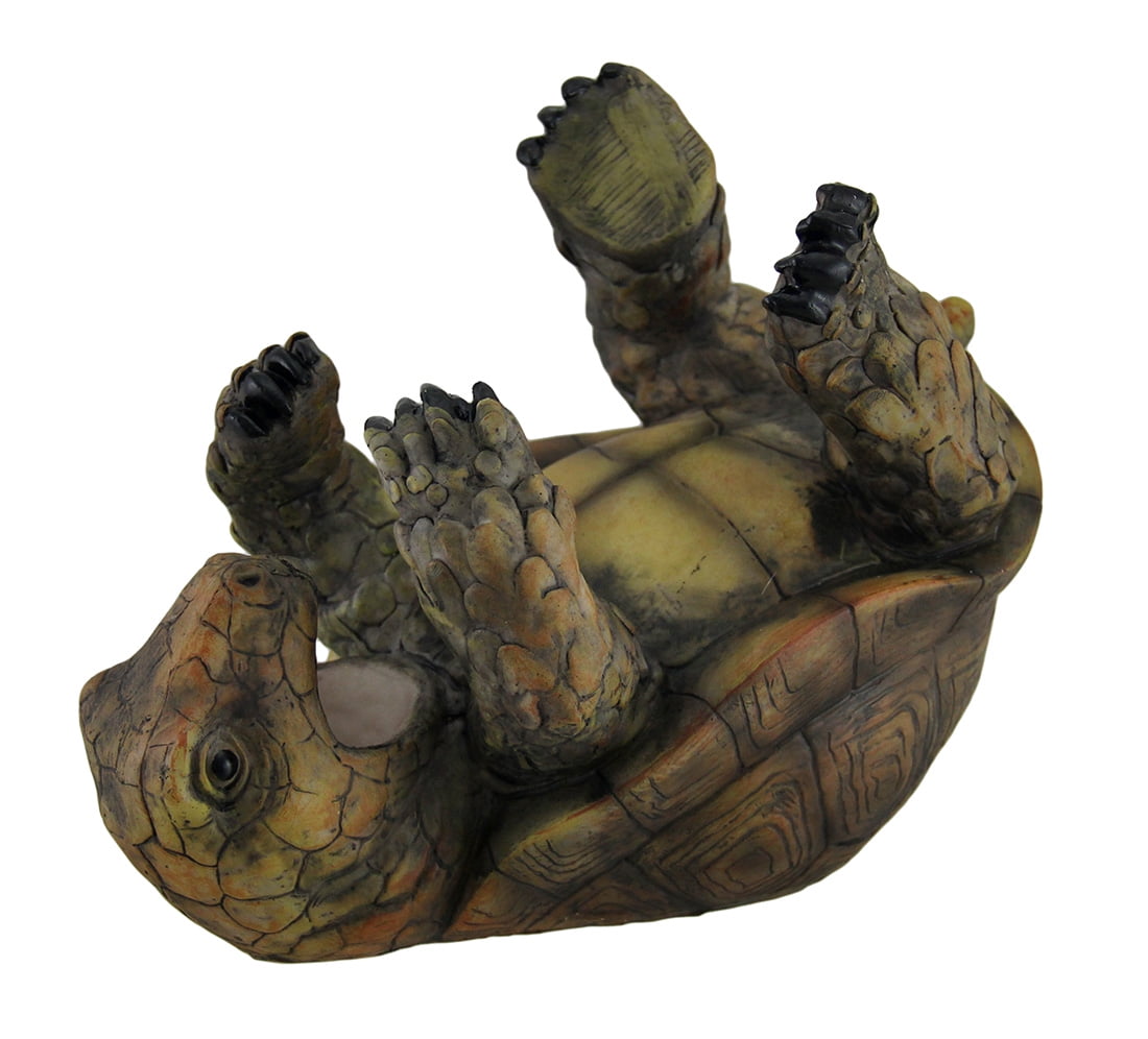 Tipsy Turtle Decorative Tabletop Single Bottle Wine Holder Stand ...