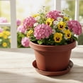 thumbnail image 3 of Austin Planter 12 inch Flower Round Pot with Saucer Terra Cotta Colored Polypropylene (Single) Made in USA, 3 of 12