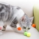 thumbnail image 5 of GOOHOCHY 30 pelotas de peluche de colores para gatos, pompones elásticos para jugar (colores surtidos), 5 of 7