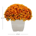 thumbnail image 3 of Expert Gardener 1Gal Orange Garden Chrysanthemum Plant Decorative Square Pot Sun, 3 of 8
