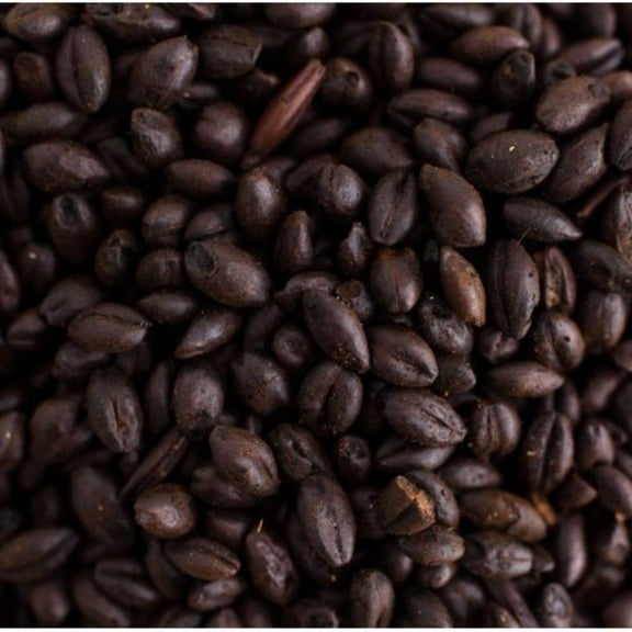 Weyermann Roasted Barley Home Brewing Malt Whole Grain 1lb Bag