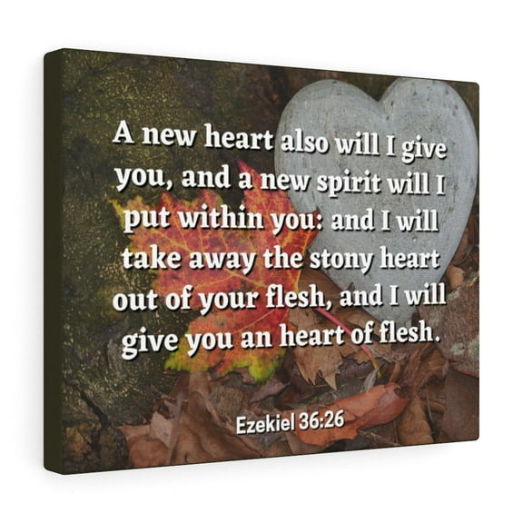 Scripture Walls  Stony Heart Ezekiel 36:26 Bible Verse Canvas Christian Wall Art Ready to Hang Unframed