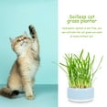 thumbnail image 4 of OULII Pet Cat Grass Planting Box with Nutrient Enriched Water 1Set PP, 4 of 7