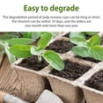 thumbnail image 3 of Peat Pots Seed Starter Trays Biodegradable Seedling Pots Germination Trays  Organic Plant Starter Kit, 3 of 9