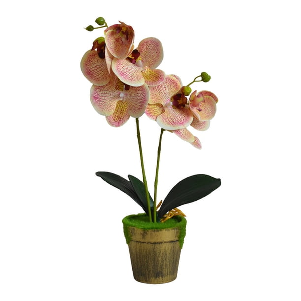 Flor de orquídea en maceta artificial Simulación de tela de decoración floral Orquídea falsa con maceta, Champán Monstrate HA7708-02B