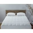asthma & allergy Friendly 240TC Peachy Mattress Pad in Multiple Sizes