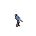 thumbnail image 6 of HI-LINE GIFT LTD. BLUE JAY ON BRANCH, 6 of 9