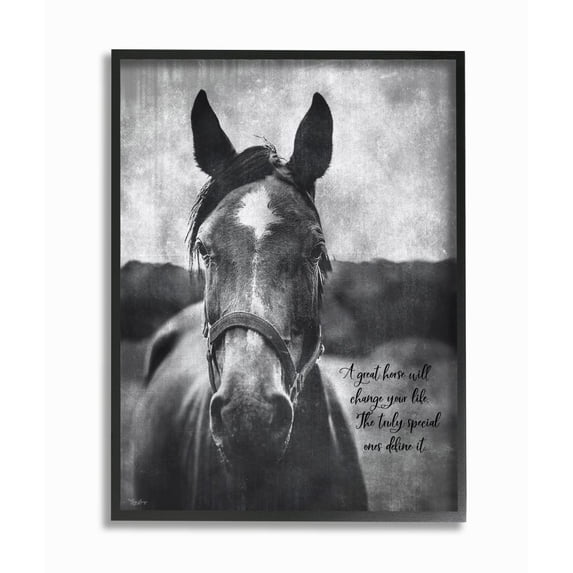 Stupell Industries A Great Horse Inspiring Word Farm Design Graphic Art Black Framed Art Print Wall Art, 16x20, by Gigi Louise