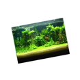 thumbnail image 2 of One Side Aquarium Background Poster Decoration Wallpaper Sticker Sticker Fish Tank 76x56cm, 2 of 9