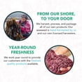 thumbnail image 5 of Kombu Dried Sugar Kelp Seaweed | Wild North Atlantic Seaweed for Snacking, Seasoning, Soups & Salads | Rich in Vitamins, Minerals & Antioxidants Good for Thyroid Support | Whole Leaf (4 OZ), 5 of 5