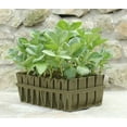 thumbnail image 5 of Haxnicks Rootrainer Racking Station w/ 8 Deep Rootrainers, 5 of 10