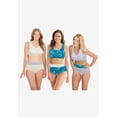 thumbnail image 2 of Comfort Choice Plus Size Full Coverage Stretch Cotton Color Block Brief 3-Pack, 2 of 6