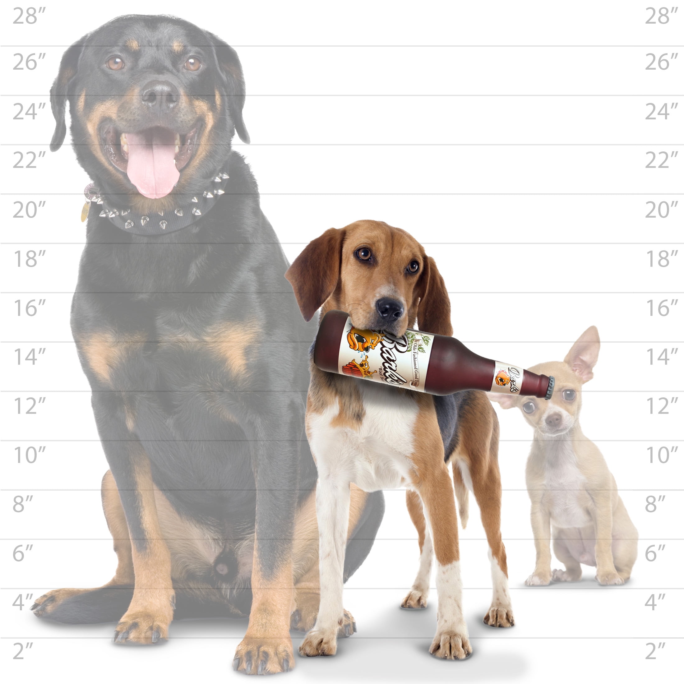 Silly Squeakers Beer Bottle Barks Durable Squeaky Vinyl 2-Pack Dog Toy