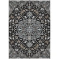 thumbnail image 2 of Addison Rugs Chantille Indoor/Outdoor Traditional Global Black Machine Washable Rectangle Rug, 10' x 14', 2 of 8