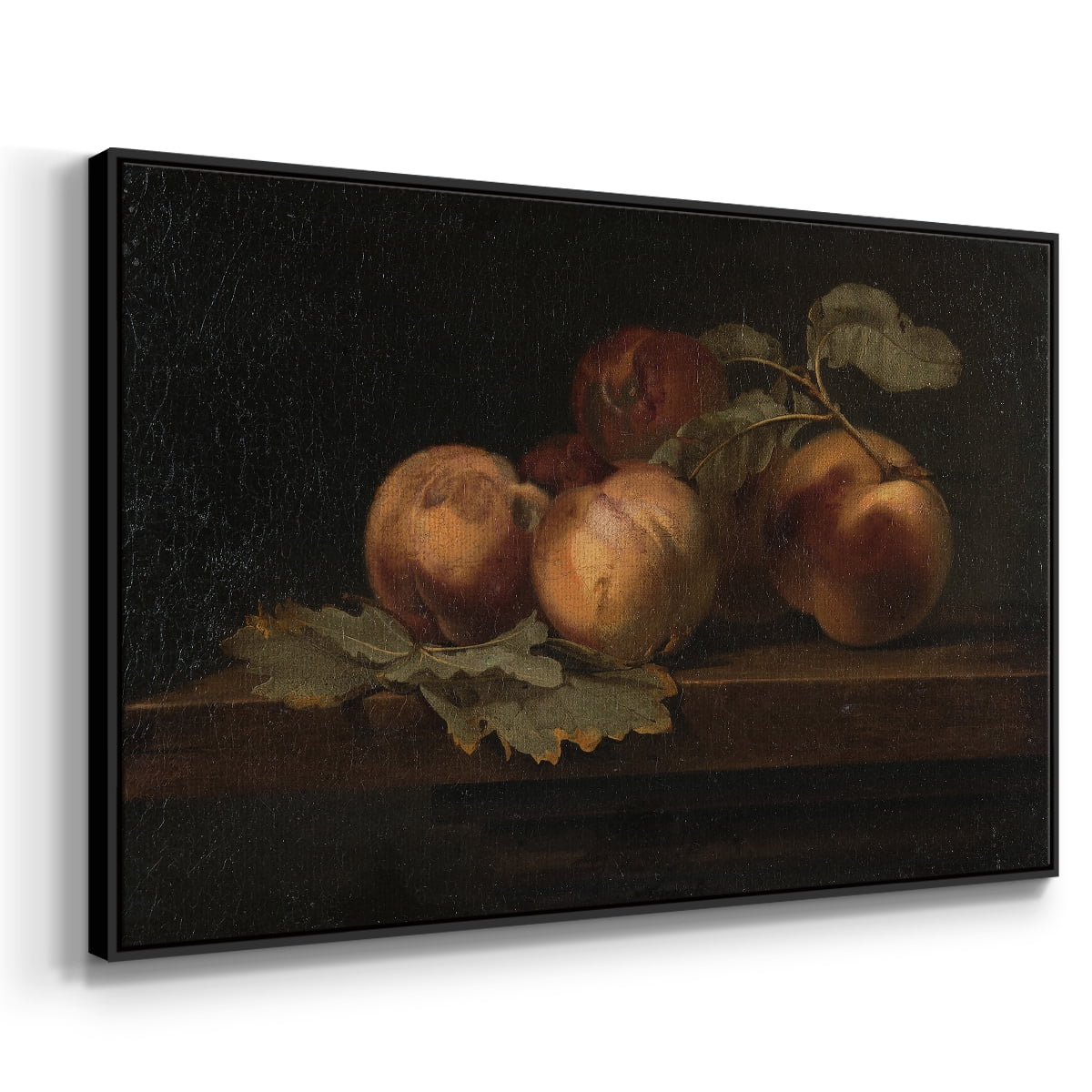 Vintage Botanical Print-LXXIX By Wexford Home Framed in Black Wood Gallery Wrapped Canvas 25 in. x 37 in.