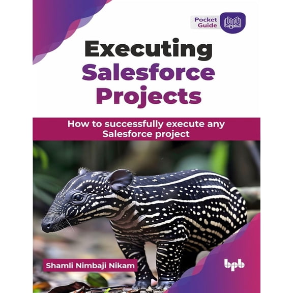 Executing Salesforce Projects: How to successfully execute any Salesforce project (English Edition), (Paperback)