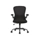 thumbnail image 1 of Silla de Oficina Bluelander, Silla Ergonómica, Altura Ajustable Reclinable 90°, Soporte Lumbar, Descansabrazos, Negro, 1 of 3