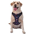 thumbnail image 1 of Fotbe Winter Skiing Snowflakes Arnés para Perro con Estampado –Chaleco Ajustable Acolchado con Asa de Control para Perros Grandes-Large, 1 of 6