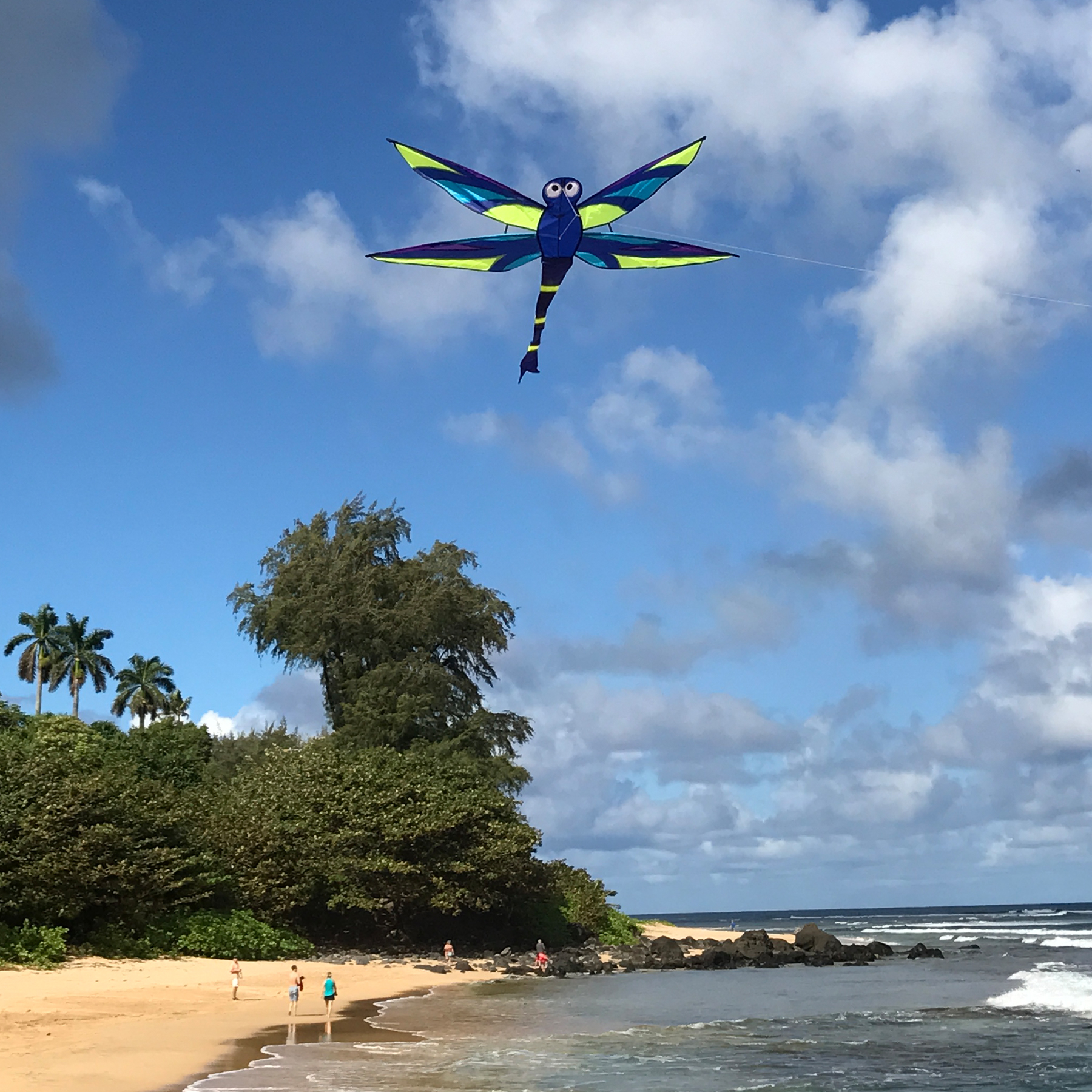 In the Breeze 3141 — Harmony Dragonfly Kite — Fun, Easy Flying Single-Line Kite for All Ages