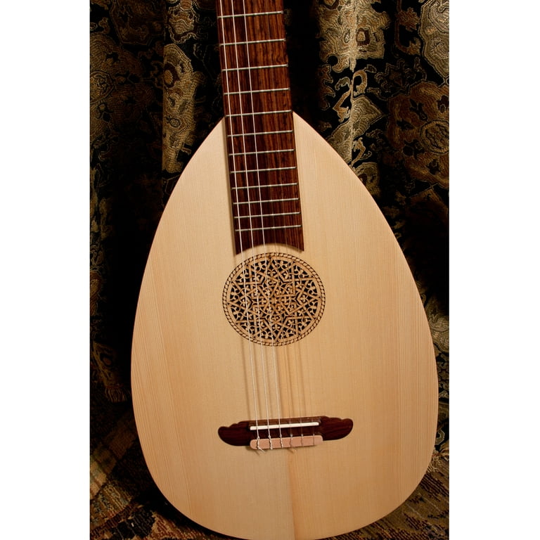 Roosebeck Lute Guitar with 6 String Variegated Gears