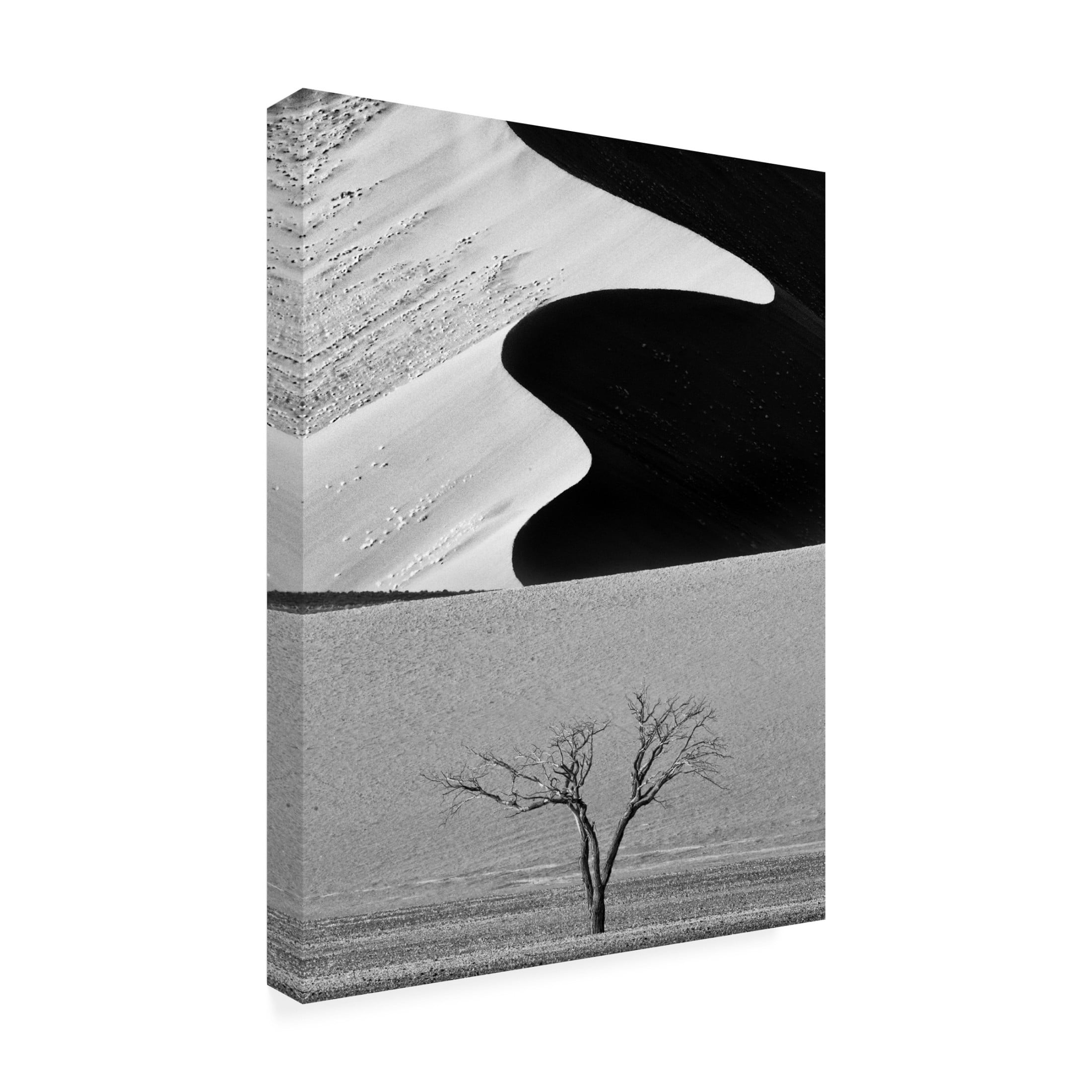 Canvas Wall Art - Ali Khataw 'Dune Curves' Wall Art for Living Room, Bedroom, or Office D?cor by Trademark Fine Art - 18 x 24 Inches