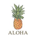 thumbnail image 2 of Decorative Tea Towel, Apron Aloha, Pineapple, Icon, Unisex, Adjustable, Organic Cotton, 2 of 5