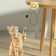 thumbnail image 4 of Juguete Eléctrico Colgante con Pelota para , Juguete para Ejercicio para Gatito, Juguetes Interactivos con Pelota para , Juguete Automático para Juego y Ejercicio, 4 of 8